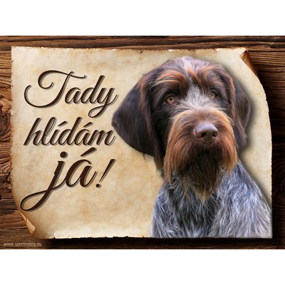 Sport hobby Cedulka Český fousek Tady hlídám já CP927 15 x 11 cm