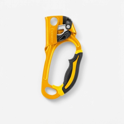 Petzl Ascension