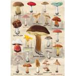 Dino - Puzzle Mushrooms - 1 000 piese