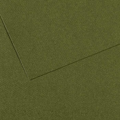 Canson Tónovaný papier Mi-Teintes 50 x 65 cm 160 g/m²Brečtanová 448