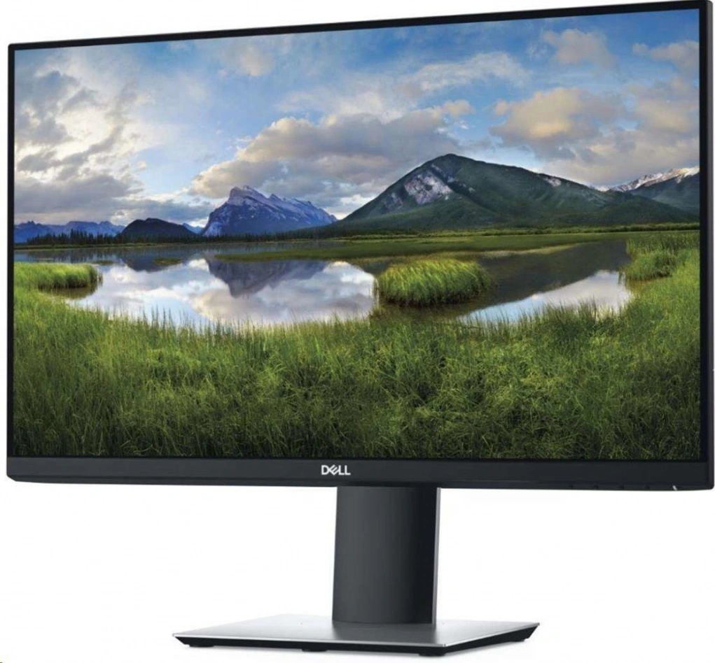 Dell P2419H