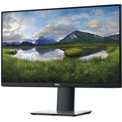 Dell P2419H