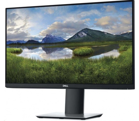 Dell P2419H
