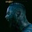 SKILLET: UNLEASHED CD