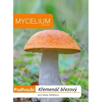 Křemenáč březový 10 g podhoubí