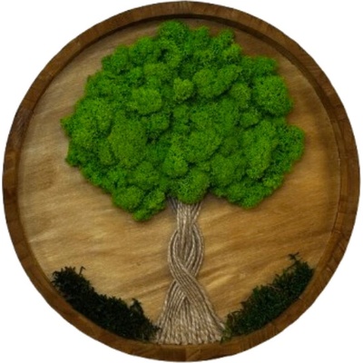 Machový obraz - živý kruh Veľkosť rámu: 30cm