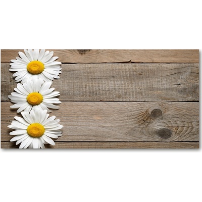 Foto obraz sklo tvrzené sedmokráska drevo 100x50 cm