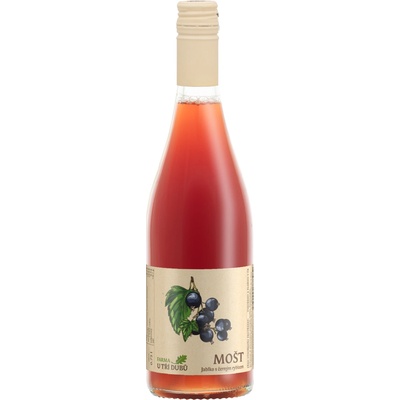 Farma u tří Dubů Rybíz s jablkem 750 ml – Zbozi.Blesk.cz