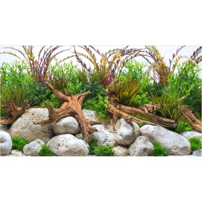 Amtra pozadie River 60 x 30 cm
