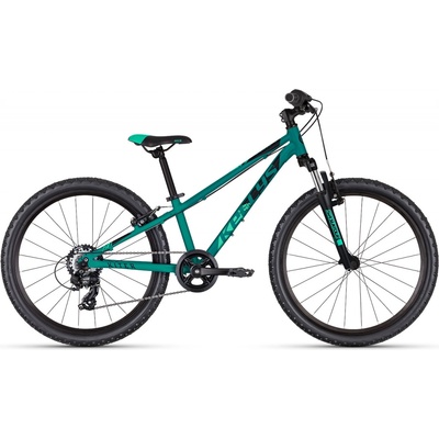 Kellys Kiter 50 2025