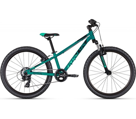 Kellys Kiter 50 2025