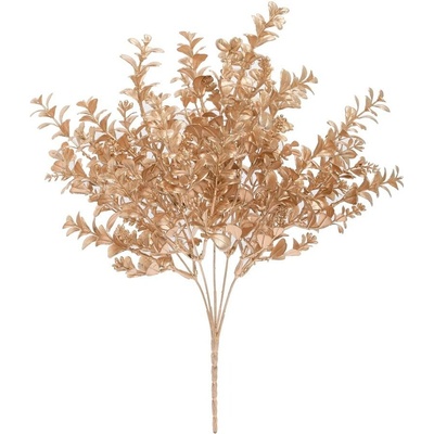 ZELEŇ BUXUS ŠAMPAŇ 35CM