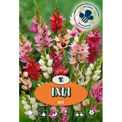 Směs Ixia mix 10 ks
