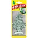WUNDER-BAUM Eucalyptus