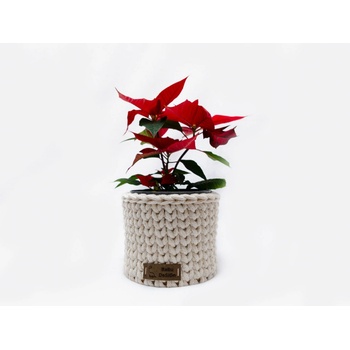 BaBu Design košík kulatý 13x11,5cm - smetanová se zlatou nitkou
