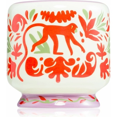 Paddywax A Dopo Jungle 226 g