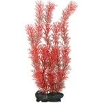 TETRA Myriophyllum heterophyllum (Red Foxtail) - растение Tetra 30 см, L