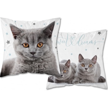 Detexpol Mačka grey 40 x 40 cm