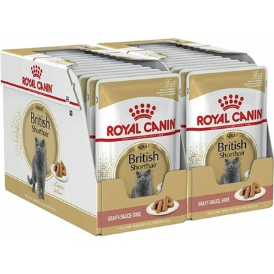 Royal Canin British Shorthair kapsička pre britské krátkosrsté mačky v šťave, 24 x 85 g