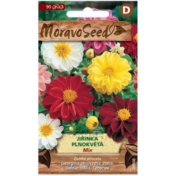 Semená Sedmokráska, zmiešané, 90 ks.