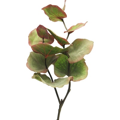 Blahovičník - Eukalyptus 'Cinera' (spray) zelený/červený 72 cm