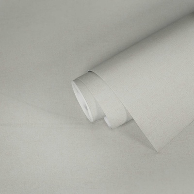 A.S. Création 306461 vliesová tapeta na zeď Titanium rozměry 0,53 x 10,05 m