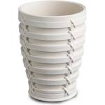 Primanova Pn-Поставка за четки за зъби palm БЕЖОВА (m-e58-09) (0137225)