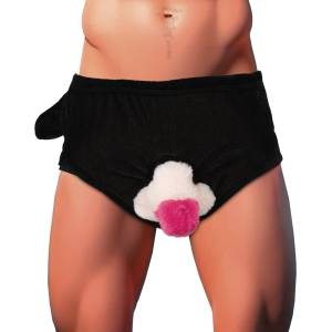 ORION Penis Briefs