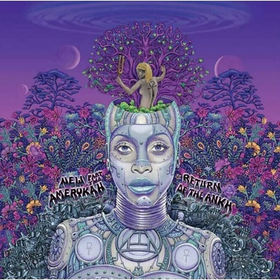 Erykah Badu - New Amerykah Part Two - Return Of The Ankh 2 LP