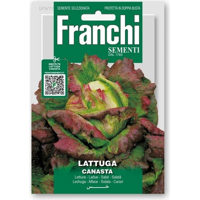 Franchi Sementi Šalát hlávkový "Canasta" 1 ks