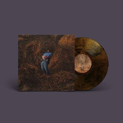 Jack Garratt - Pillars (Limited Edition) (Honey Marble Coloured) (LP) (0711297923919)