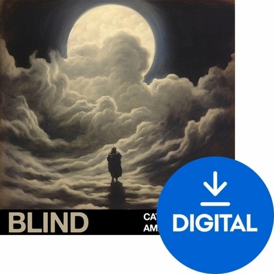 Audiofier Blent 6 Plus - CinemaDrums (Digitálny produkt)