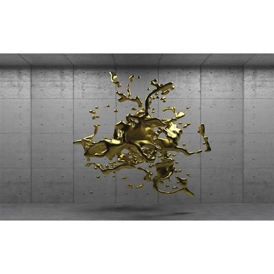IMPOL TRADE 2802 P8 Fototapeta 3D barva rozměry 368 cm x 254 cm
