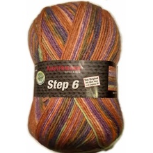 Austermann Step 6 Color 719 Potpourri