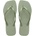 Havaianas Square 43/44
