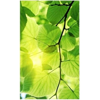 DIMEX ART s. r. o Флизелинов фототапет зелени листа 150 x 250 см