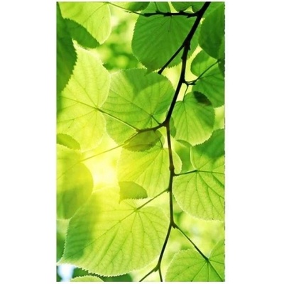 DIMEX ART Флизелинов фототапет зелени листа 150 x 250 см