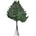 Cuire Fern