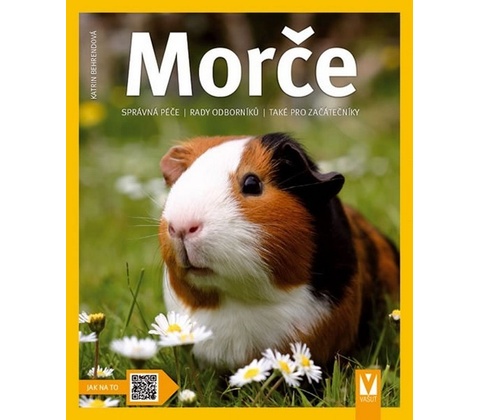 Morče