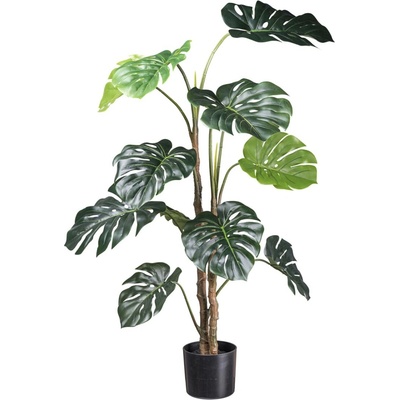 Gasper Gasper Splitphilodendron x12 listov 140cm zelená, v plastovom kvetináči so zeminou,