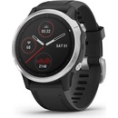 Garmin fenix6S Glass