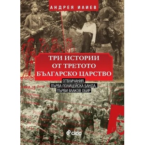Три истории от Третото българско царство (2020)
