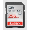 SanDisk SDXC UHS-I 256GB SDSDUNC-256G-GN6IN