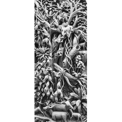 Preinterier DV0686 Fototapeta na stenu Zvieratá vlies 91cm x 211cm