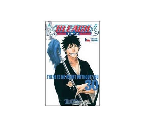 Bleach 30 - Tite Kubo