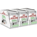 Royal Canin Digestive Care Dog Loaf 36 x 85 г