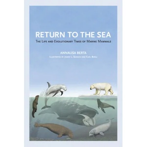 Return to the Sea | Annalisa Berta (ISBN: 9780520355521)