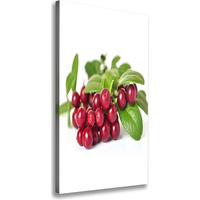 Vertikálny moderný obraz canvas na ráme Čučoriedka 50x100 cm
