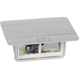 Legrand 2 Plug (054011)