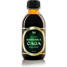 Zdravý svet Čaga sibírska lipozomálny koncentrát 200 ml